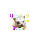ハリネズミ はりねずみ 可愛い 挨拶 日常（個別スタンプ：8）