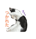 マメ fuka（個別スタンプ：6）