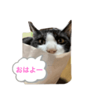 マメ fuka（個別スタンプ：7）