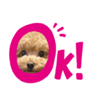 Ooooochobo（個別スタンプ：2）