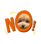 Ooooochobo（個別スタンプ：5）