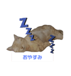 coco,vol.1（個別スタンプ：4）