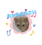 coco,vol.1（個別スタンプ：7）