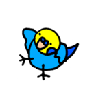 インコでごさる（個別スタンプ：1）