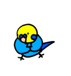 インコでごさる（個別スタンプ：2）