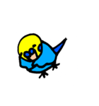 インコでごさる（個別スタンプ：5）