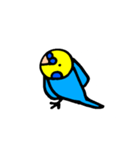 インコでごさる（個別スタンプ：7）