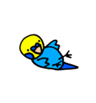 インコでごさる（個別スタンプ：8）