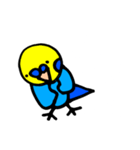 インコでごさる（個別スタンプ：10）