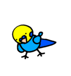インコでごさる（個別スタンプ：11）