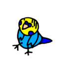 インコでごさる（個別スタンプ：15）