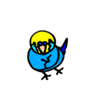 インコでごさる（個別スタンプ：16）