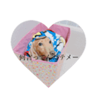 やまおの愛犬キャンディちゃん（個別スタンプ：7）