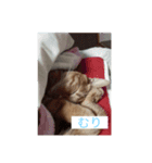 koideYukiya（個別スタンプ：7）