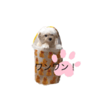 犬の可愛い世界（個別スタンプ：7）