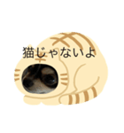 可愛い琥太郎シリーズ2（個別スタンプ：2）