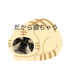 可愛い琥太郎シリーズ2（個別スタンプ：7）
