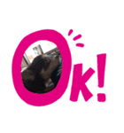 とてもたのしいたかやくん（個別スタンプ：4）