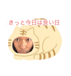 とてもたのしいたかやくん（個別スタンプ：6）