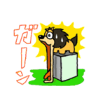 わんわん、ワンコロ 1（個別スタンプ：12）