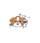 ゆるふわシーズー（個別スタンプ：3）
