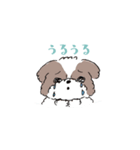 ゆるふわシーズー（個別スタンプ：5）