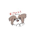 ゆるふわシーズー（個別スタンプ：7）