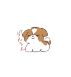 ゆるふわシーズー（個別スタンプ：11）