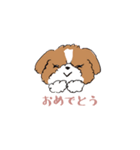 ゆるふわシーズー（個別スタンプ：14）