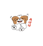 ゆるふわシーズー（個別スタンプ：16）