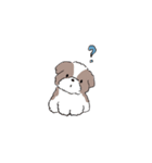 ゆるふわシーズー（個別スタンプ：17）