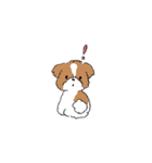 ゆるふわシーズー（個別スタンプ：18）