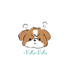 ゆるふわシーズー（個別スタンプ：20）