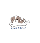 ゆるふわシーズー（個別スタンプ：21）
