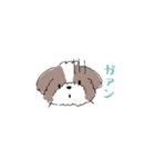 ゆるふわシーズー（個別スタンプ：23）