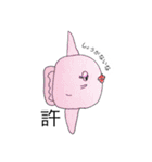 たらこなかま（個別スタンプ：30）