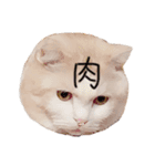 ぼく？いっちゃんだけど。（個別スタンプ：1）