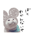 ぼく？いっちゃんだけど。（個別スタンプ：6）