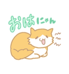 長毛にゃんこ/レッドタビー＆ホワイト（個別スタンプ：10）