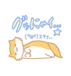長毛にゃんこ/レッドタビー＆ホワイト（個別スタンプ：11）