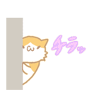 長毛にゃんこ/レッドタビー＆ホワイト（個別スタンプ：17）
