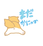 長毛にゃんこ/レッドタビー＆ホワイト（個別スタンプ：18）