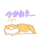 長毛にゃんこ/レッドタビー＆ホワイト（個別スタンプ：29）