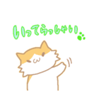 長毛にゃんこ/レッドタビー＆ホワイト（個別スタンプ：30）