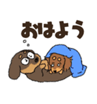 ダックス一家の家族スタンプ（個別スタンプ：1）