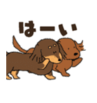 ダックス一家の家族スタンプ（個別スタンプ：2）