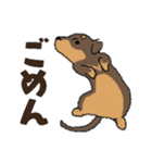 ダックス一家の家族スタンプ（個別スタンプ：3）