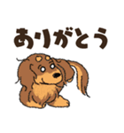 ダックス一家の家族スタンプ（個別スタンプ：5）