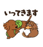 ダックス一家の家族スタンプ（個別スタンプ：6）