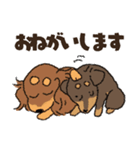 ダックス一家の家族スタンプ（個別スタンプ：8）